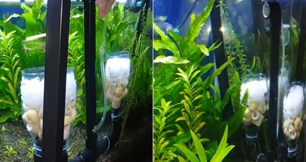 Setup Double Bio Sponge Filter inside Aquarium