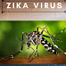 Know About Zika Virus :  जीका वायरस की शुरूआत युगांडा के जीका फारेस्ट में बंदरों से हुई, बाद में मनुष्य हो गए संक्रमित