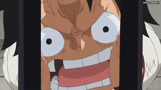 ワンピースアニメ WCI編 814話 ルフィ Monkey D. Luffy | ONE PIECE Episode 814