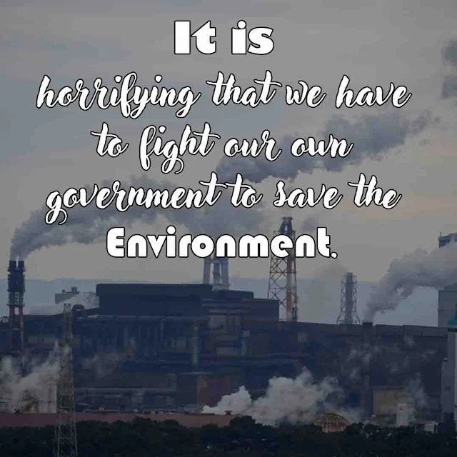 Quotes on environmental pollution
