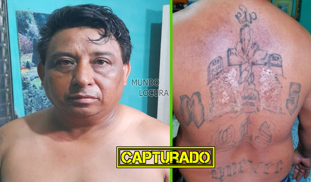 El Salvador: Detienen a alias "Peluche", un pandillero veterano que intentó quemarse sus tatuajes de la MS por temor a ser capturado