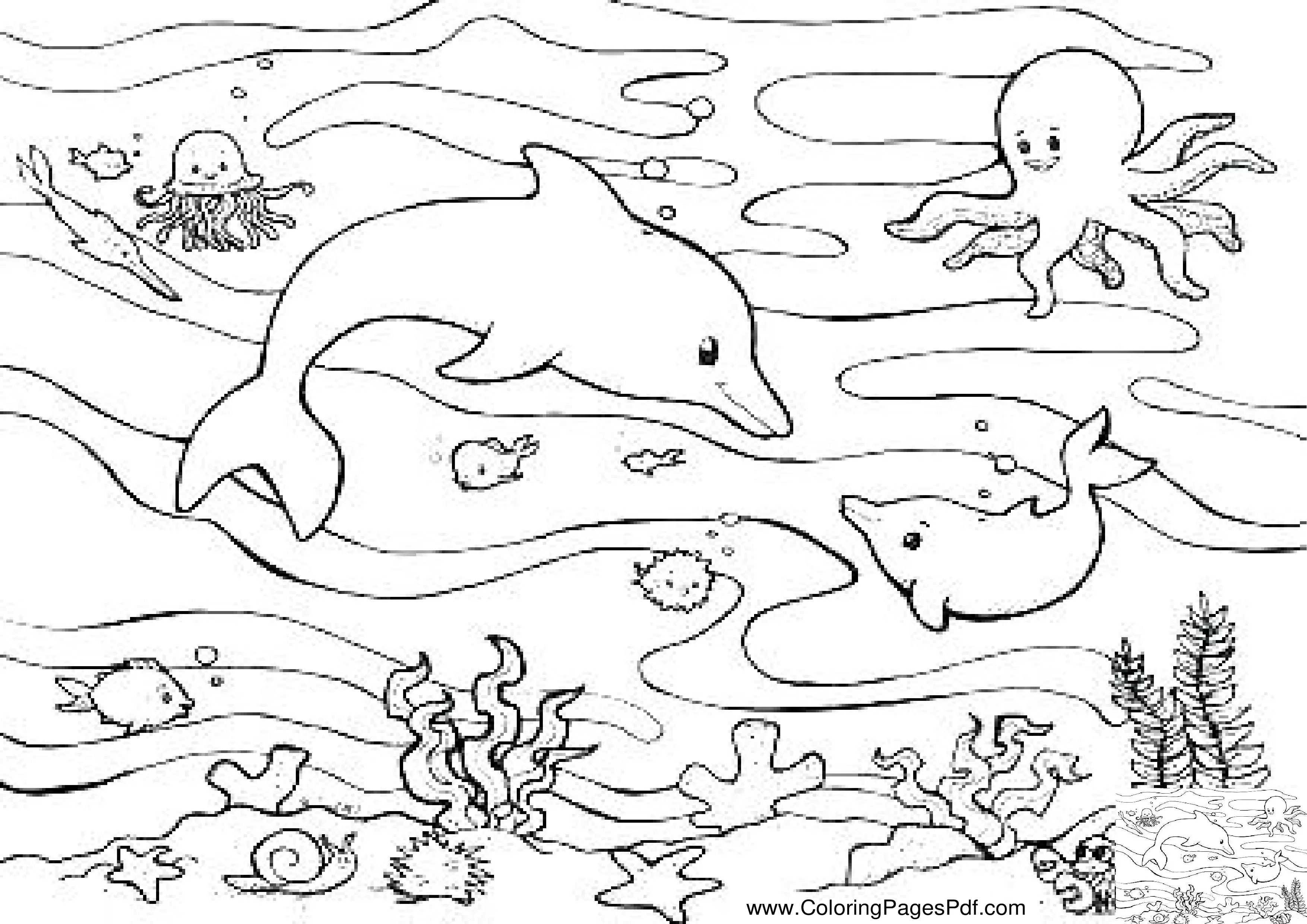 Dolphin coloring pages for adults