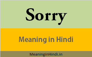 Sorry meaning in Hindi