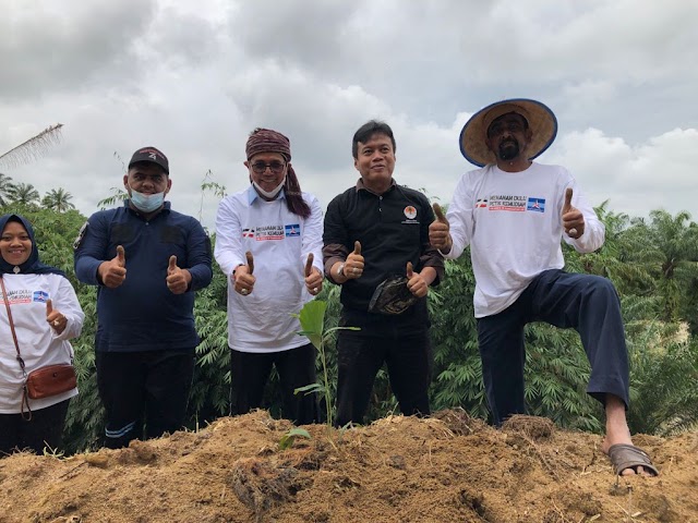 Ditengah Masa Pandemi, Anggota DPR-RI Komisi III Bersama Karang Taruna Kecamatan Gunung Malela Tanam 6000 Batang Bibit Pohon Aren, Sirsak Dan Nilam