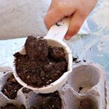 Step 2 - scoop dirt into egg carton