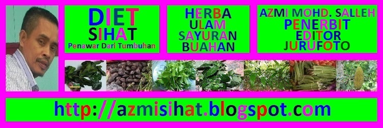 Diet Sihat