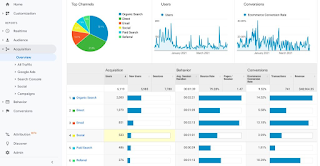 Google Analysts Traffic Source