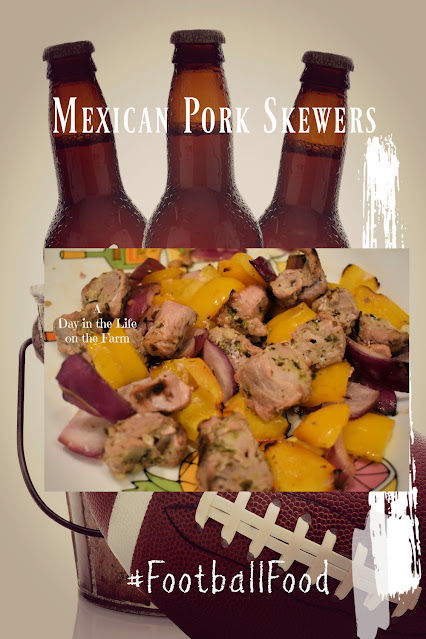 Mexican Pork Skewers PIn