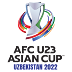 AFC U23 Asian Cup Uzbekistan 2022 Logo Vector Format (CDR, EPS, AI, SVG, PNG)