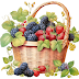 Korb mit Beeren, Beeren im Korb. Basket with berries, Berry Basket