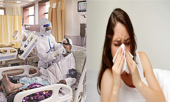 Coronavirus & Flu: कॉमन फ्लू और कोरोना वायरस के लक्षणों में अंतर कैसे पहचानें? यहां जानें सभी सवालों के जवाब