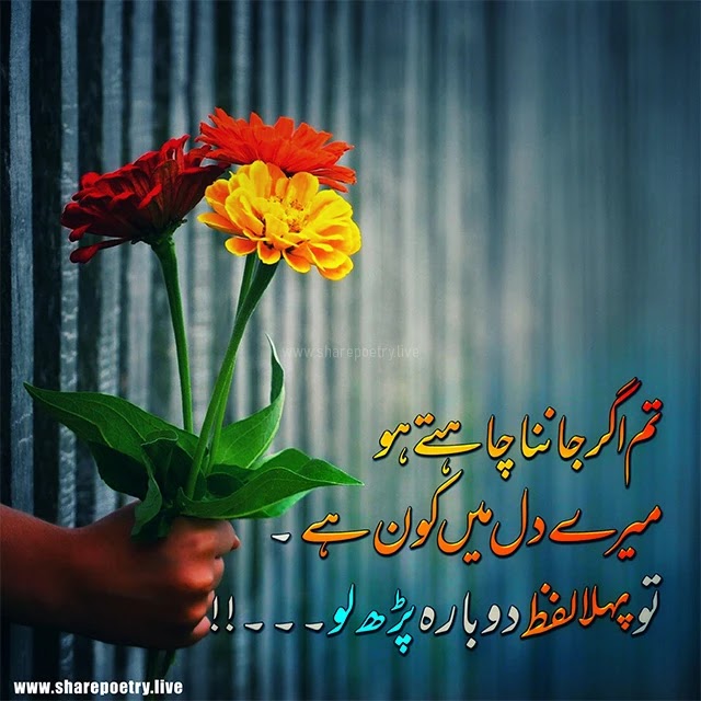 Love Poetry In Urdu Romantic 2 Line 2022 - flower Background image Poetry