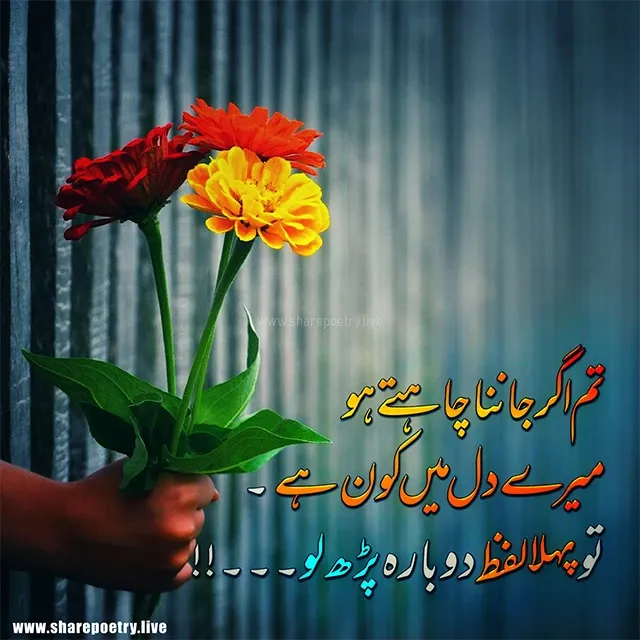 Love Poetry In Urdu Romantic 2 Line 2024 - flower Background image Poetry