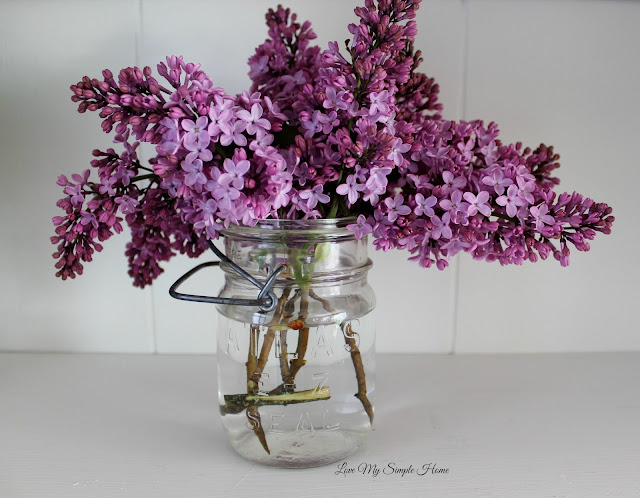 the-joy-of-lilacs-love-my-simple-home