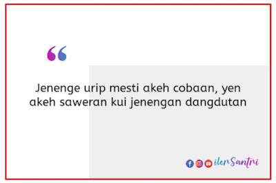 Kata-kata Lucu Bahasa Jawa Bisa Dijadikan Update Status Sosial Media