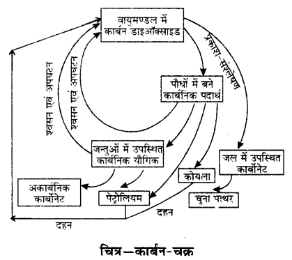 Solutions Class 9 विज्ञान Chapter-14 (प्राकृतिक संपदा)