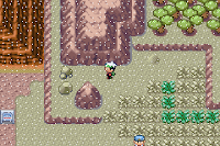 Pokemon Smeraldo Upgraded Screenshot 06