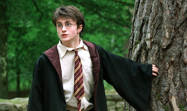 Harry Potter: 5 Magicians with Special Abilities!