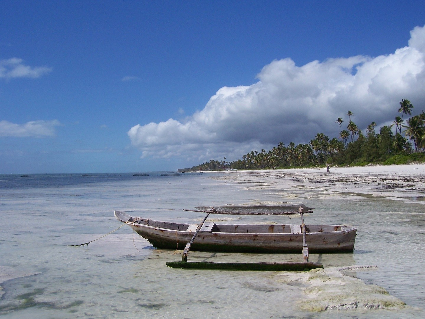 Dhow cruises are a unique charm in Zanzibar | © Chris huh/Wikimedia Commons