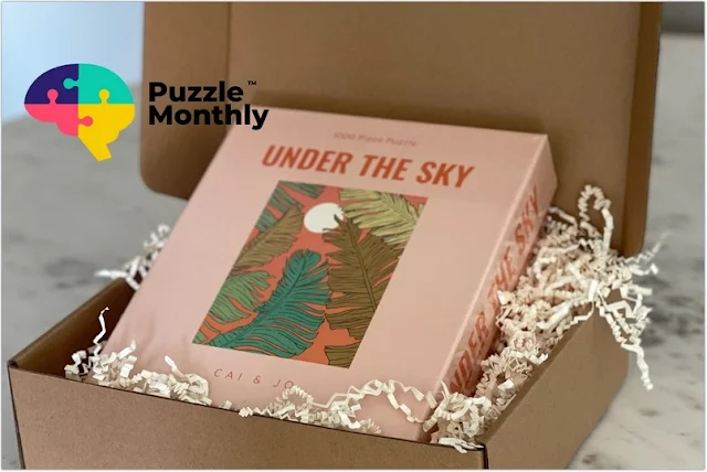 Mystery Puzzle Subscription Boxes Gifts