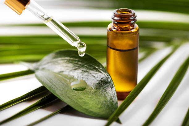 TeaTree Oil