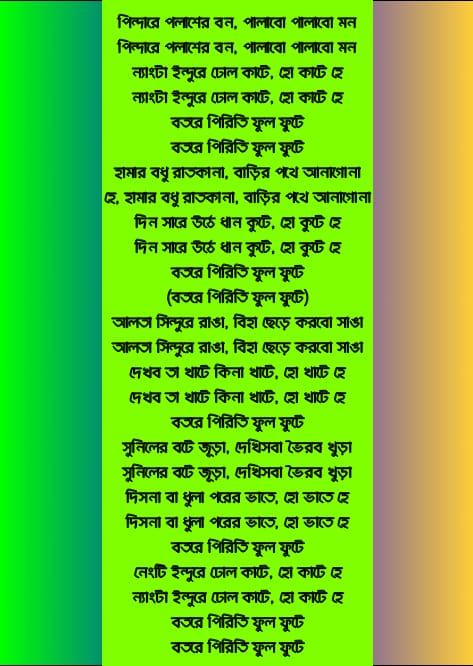 পিন্দারে পলাশের বন লিরিক্স | Pindare Palasher Bon Lyrics