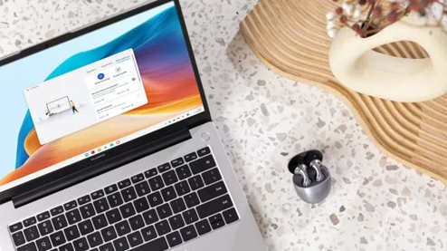 MateBook D 14 12TH Gen