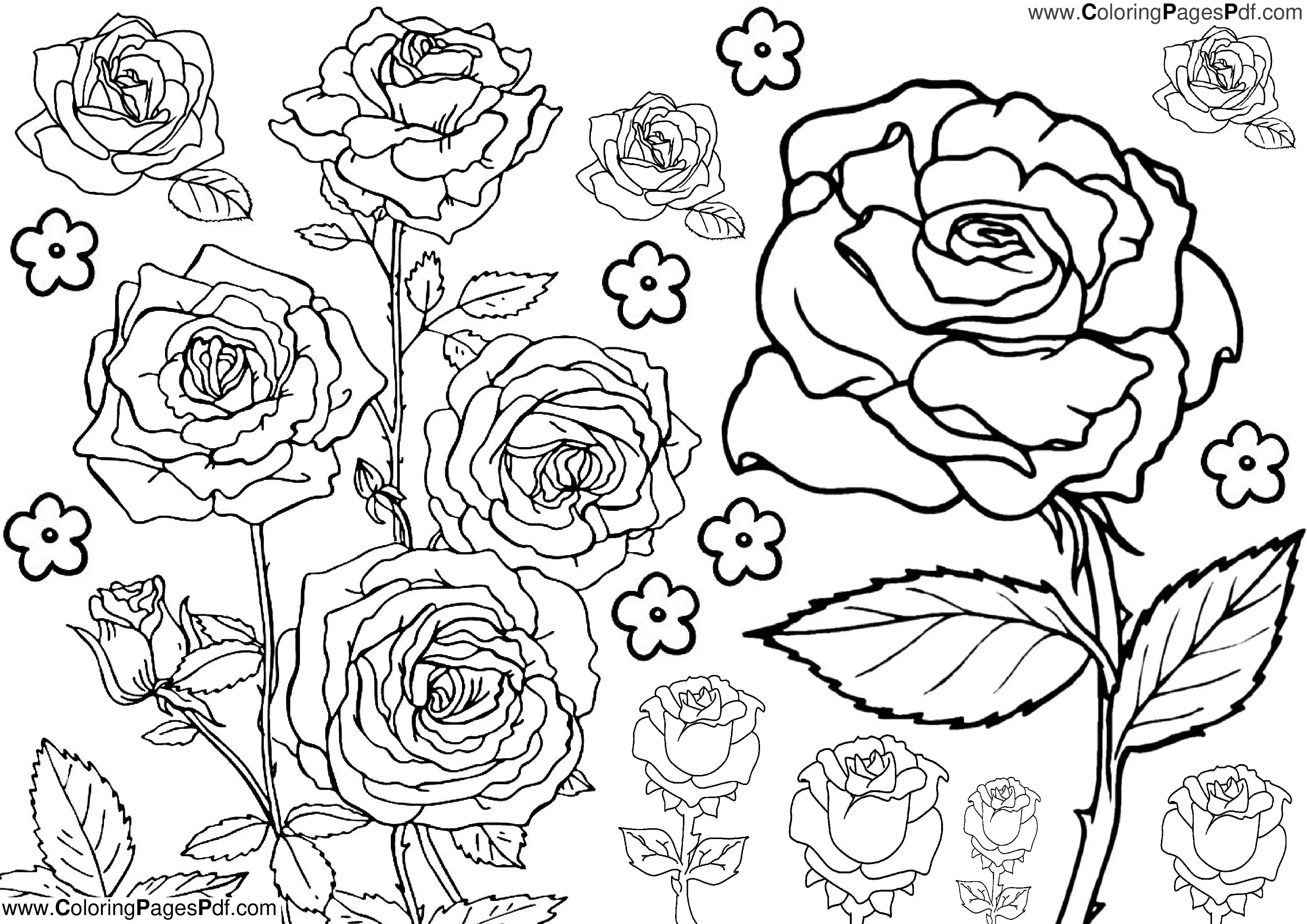 Rose Flower coloring pages