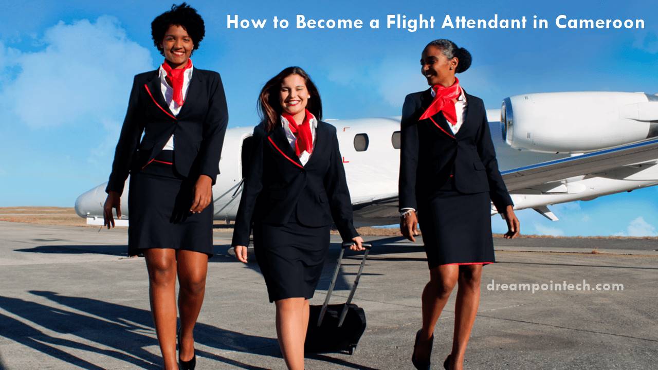 How to Become a Flight Attendant in Cameroon (Air Hostess)