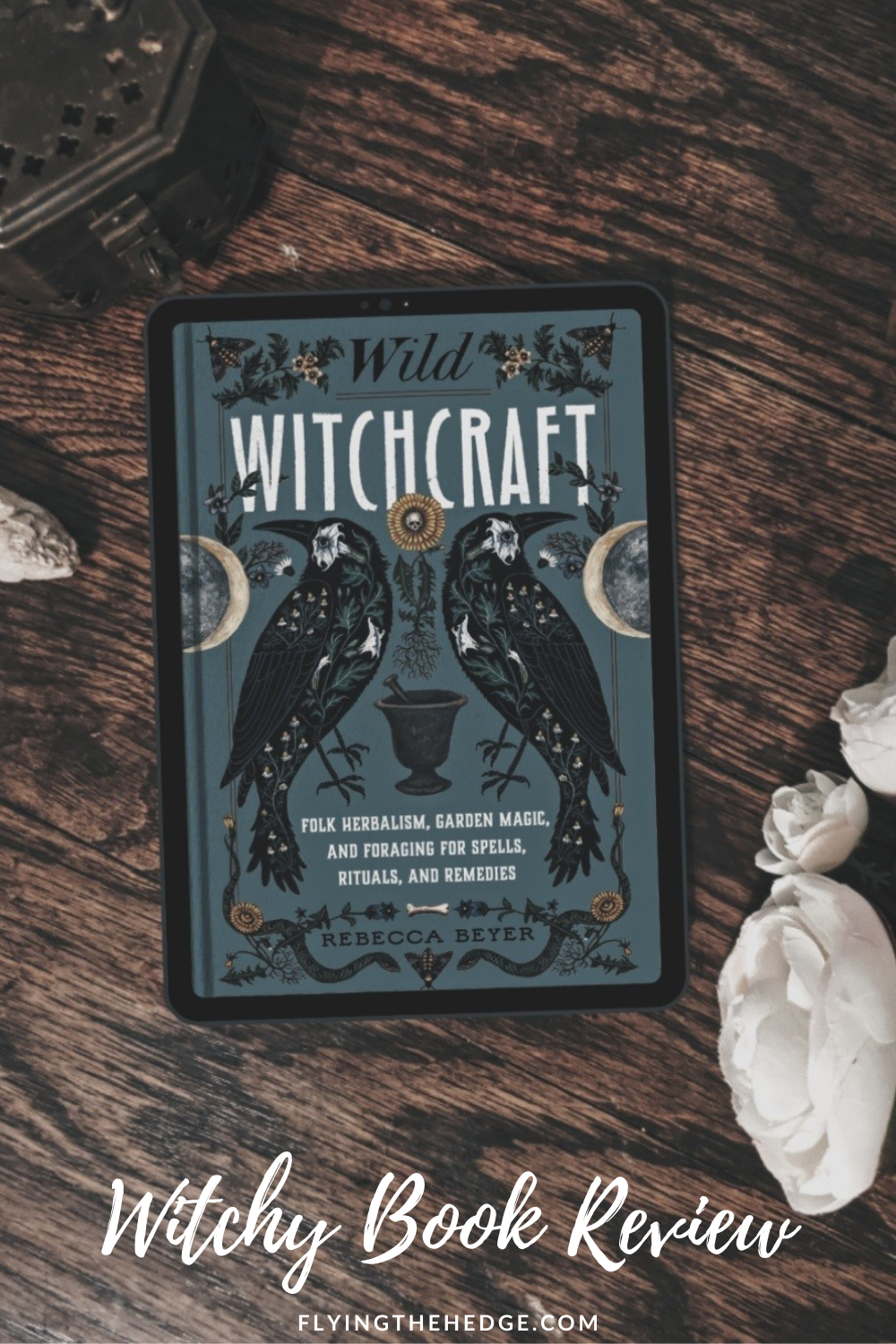 foraging, gardening, wildcraft, Appalachian folklore, plant magic, herbalism, herbal remedies, folklore, folk magic, book review, witch, witchcraft, wicca, wiccan, pagan, neopagan, witchy reads, witch book