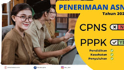 Stop CPNS, Ini 3 Formasi PPPK Yang Diterima Tahun 2022