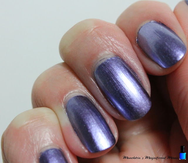 Holo Taco- Iron Violet