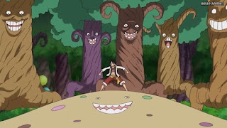 ワンピースアニメ WCI編 794話 ルフィ Monkey D. Luffy | ONE PIECE Episode 794