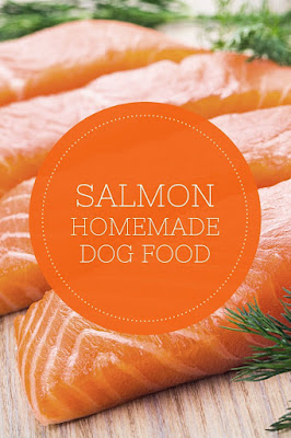 Salmon Dog Food Recipes