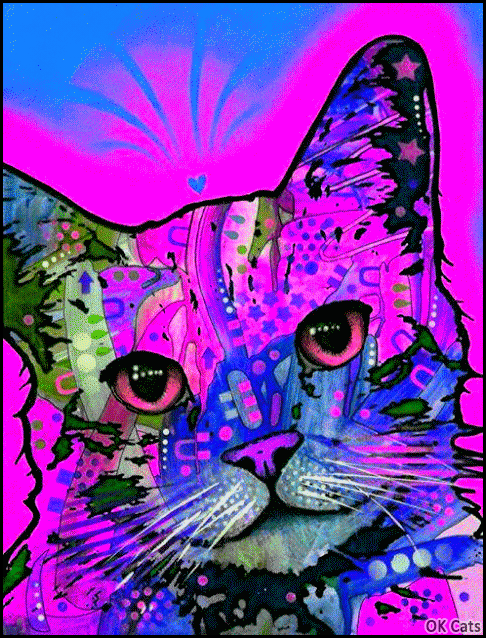 ART Cat GIF • Datamoshing-glitch effect • Psychedelic & colorful cat looking at camera 1-2 [ok-cats.com]