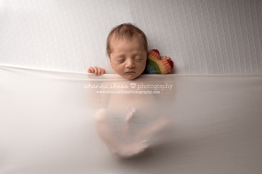Eugene, Oregon newborn photographer, baby boy holding rainbow heart