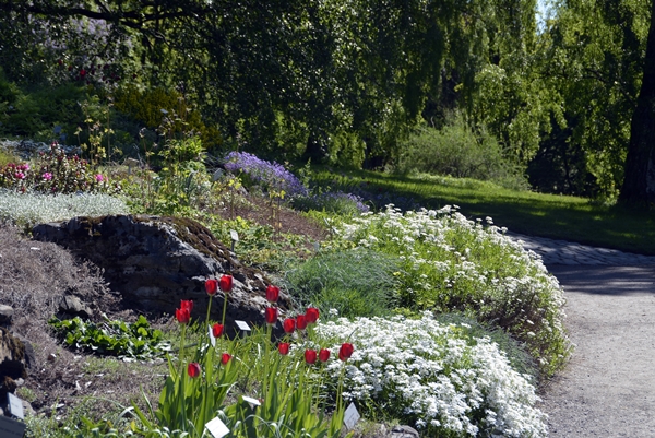 Botanisk hage i Oslo