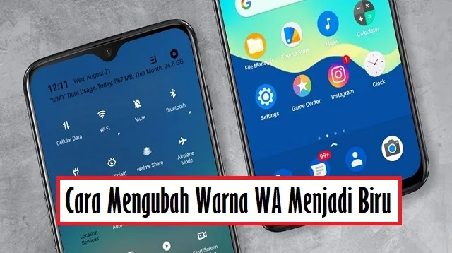 Cara Mengubah Warna WA Menjadi Biru