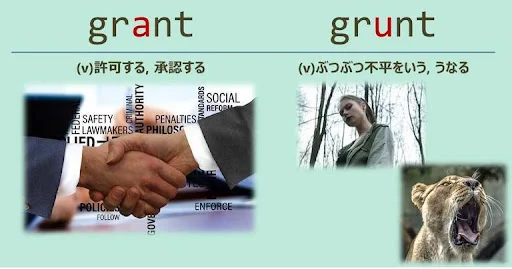 grant, grunt, スペルが似ている英単語
