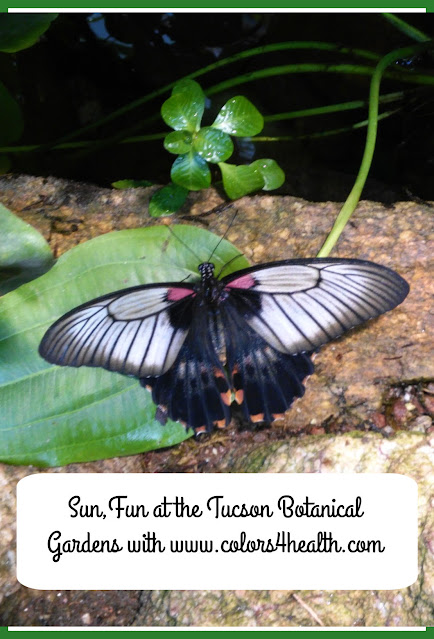 Butterfly Magic, Tucson Botanic al Gardens