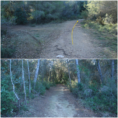 CIMS I COTES DEL BAIX PENEDÈS - BELLVEI AL CASTELL DE LA MUGA, corriol en direcció a La Muga, per l'antic camí de carro, Ruta-1