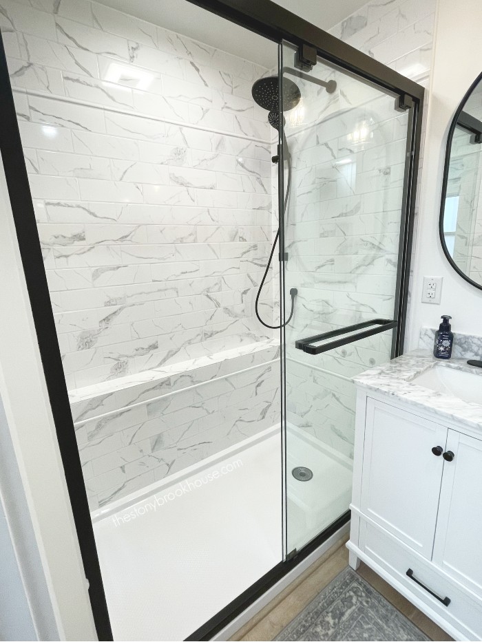 Master Bath Shower Doors