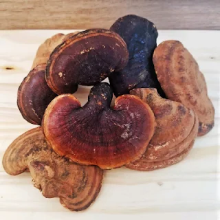 Reishi Mushroom Products in Dublin.