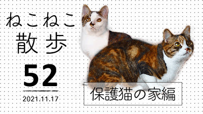 ねこねこ散歩☆MOVIE（52）