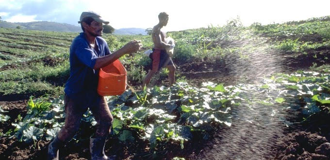 Pronaf: como obter o CAF, novo documento da agricultura familiar