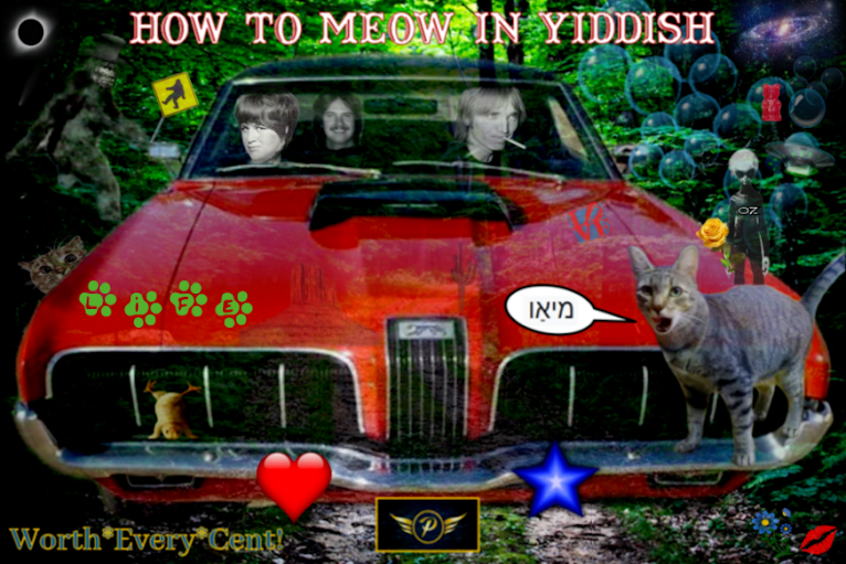                      How to Meow in Yiddish