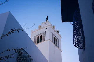 Magnifique vue sur Le mausolé de Sidi Bou Said