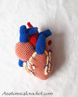 Adventures into Anatomical Crochet: Anatomical heart