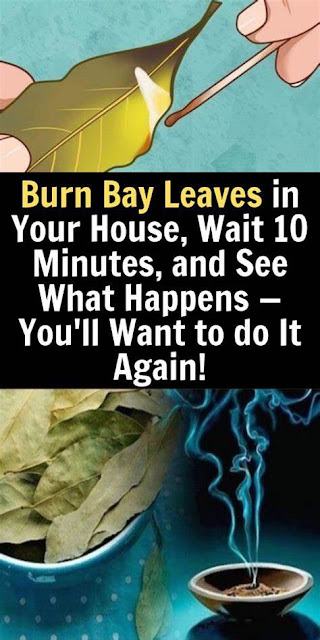 Experience The Benefits When You Burn Bay Leaves In The House
