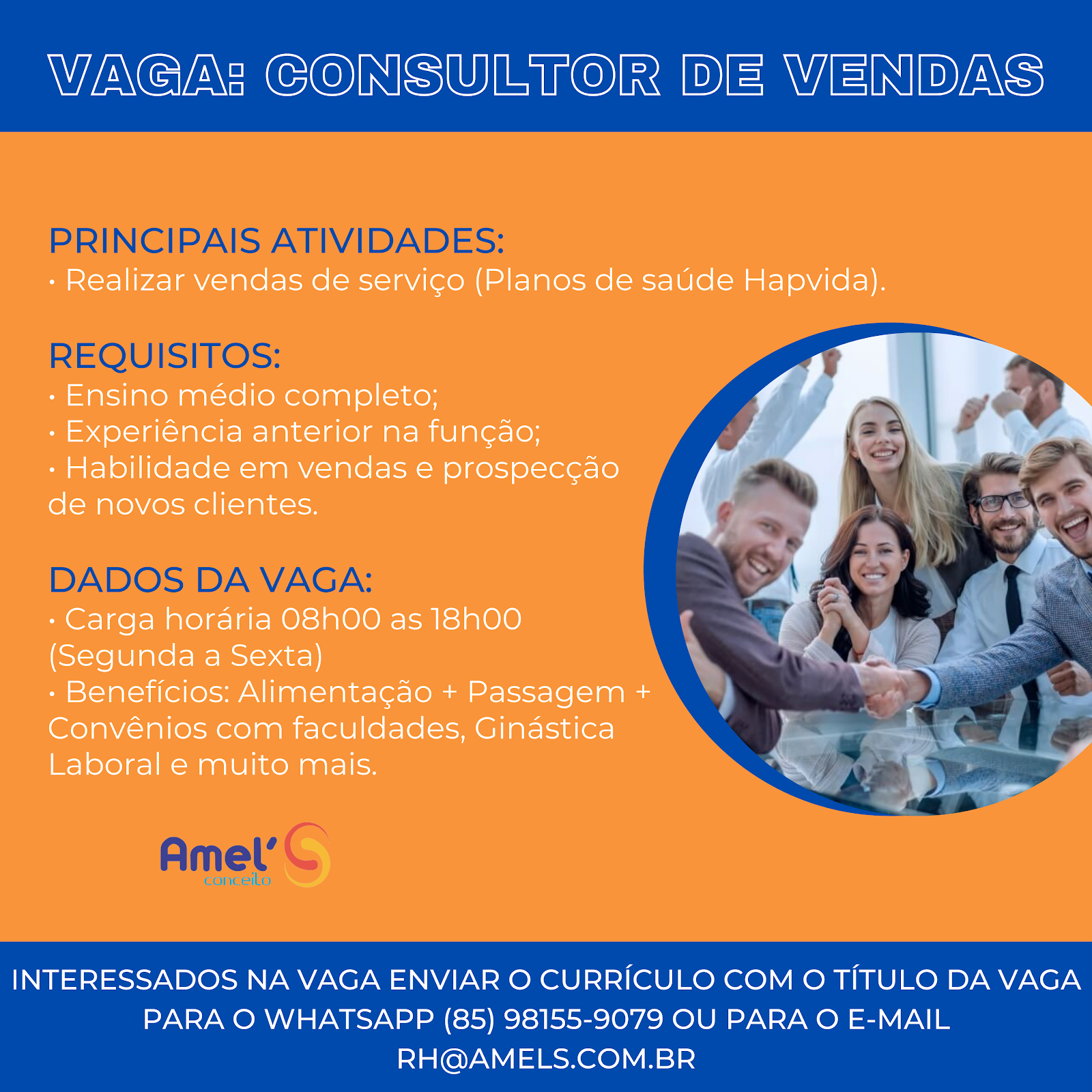 CONSULTOR(A) DE VENDAS